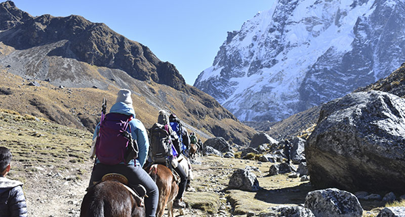 Horse-Salkantay-01