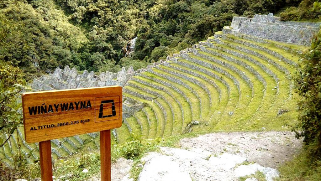 wiñaywayna-inca-trail